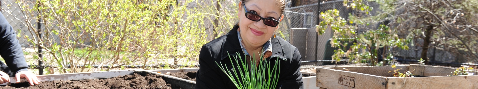 Urban Farming